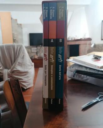 Belle arti ,Storia dell’arte Guida insegnante