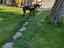 Immagine 4