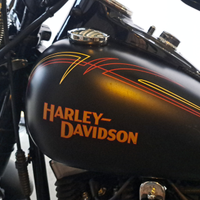 Harley davidson cross bones immacolato