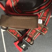 Pettorina Cane Taglia Large