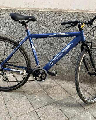 Bici sportiva (Bottecchia)
