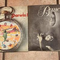 Banco del mutuo soccorso