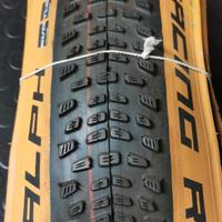 Schwalbe Racing Ralph 29"