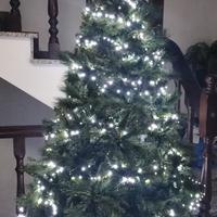 Albero di Natale 
