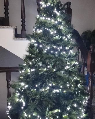 Albero di Natale 