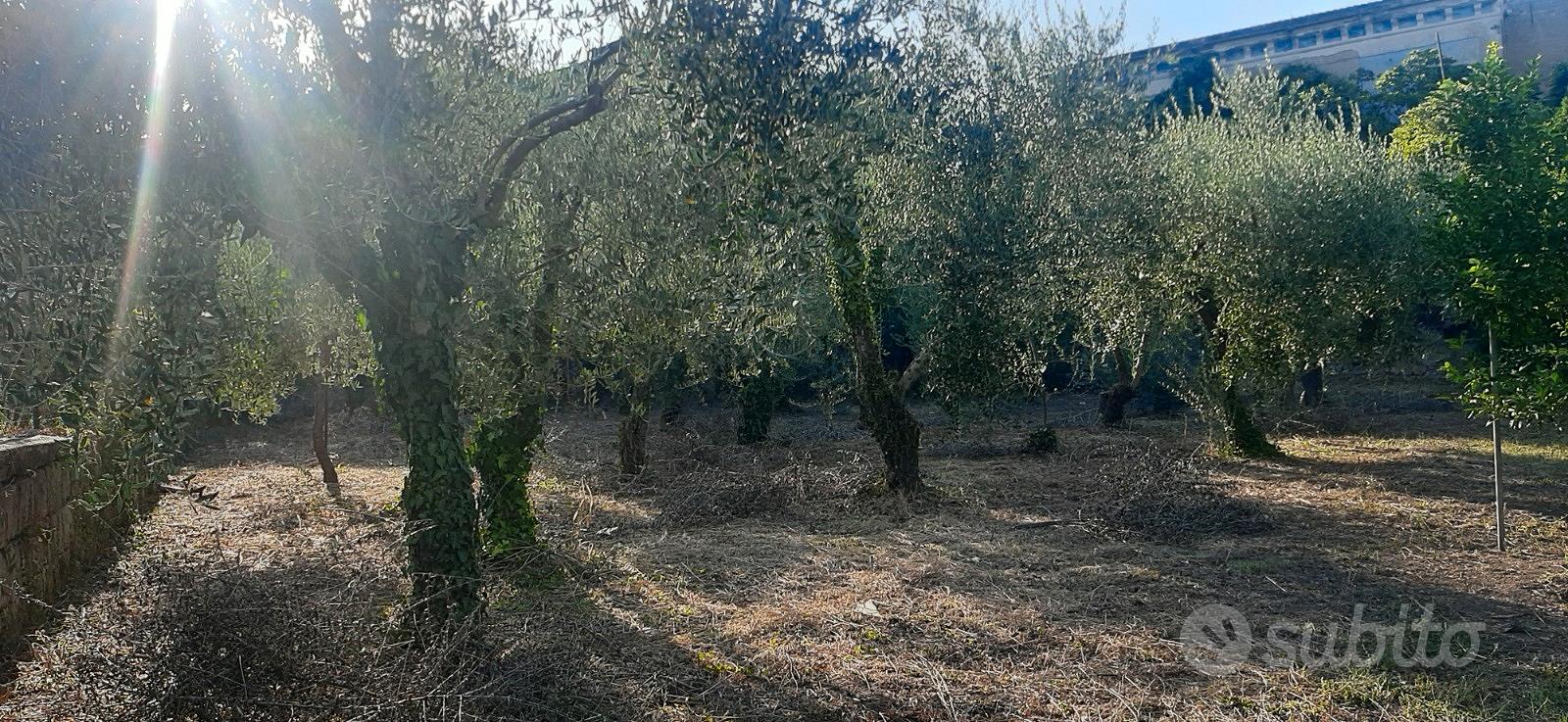 Vendita terreno - Vista 4