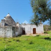 RUSTICO A FRANCAVILLA FONTANA