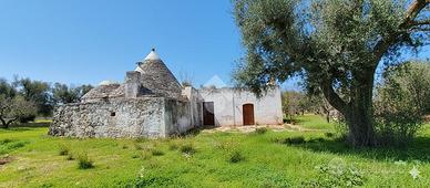 RUSTICO A FRANCAVILLA FONTANA
