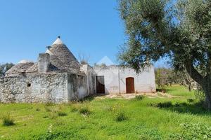 RUSTICO A FRANCAVILLA FONTANA