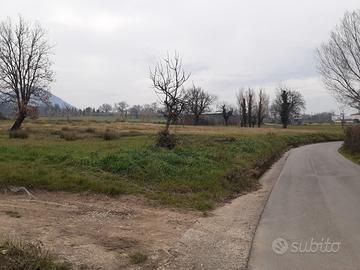 Terreno agricolo