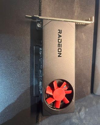 HP AMD Radeon RX 6300 2GB GDDR6 OEM –Pari al nuovo