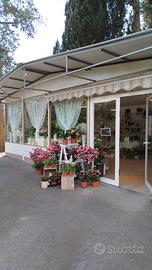 Negozio di fiori Montecatini Terme