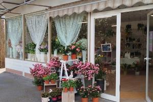 Negozio di fiori Montecatini Terme