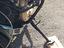 Immagine 3