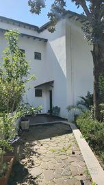 Appartamento indipendente