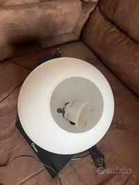 Diffusore oli essenziali e umidificatore