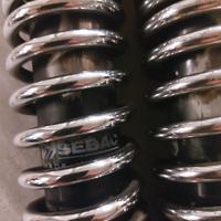 Coppia ammortizzatori posteriori Sebac