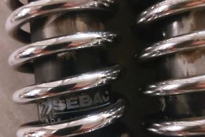 Coppia ammortizzatori posteriori Sebac