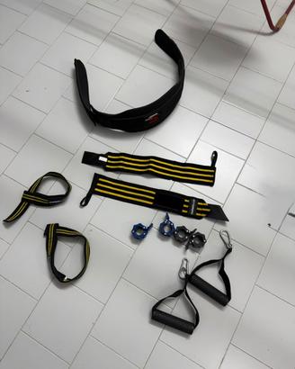 Palestra fitness bodybuilding