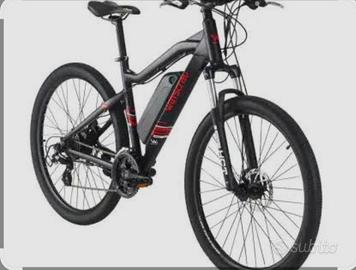 Bici elettrica