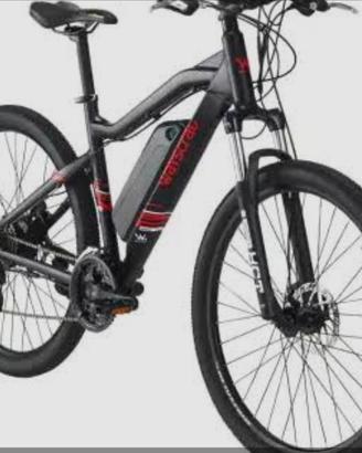Bici elettrica