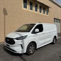 Ford Transit Costum