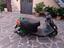 Immagine 5