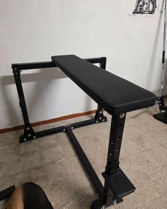 Panca cinese seal row king's gym rex gym home gym
