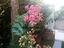 Immagine 26