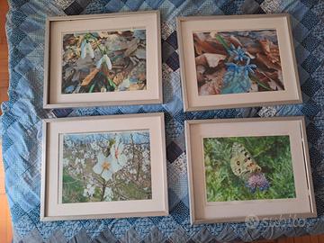 CORNICI (4) RIBBA IKEA ALLUMINIO