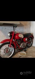 Guzzi Lodola 175cc
