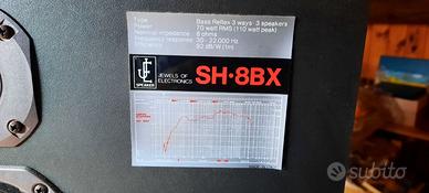 casse auctiche stereo