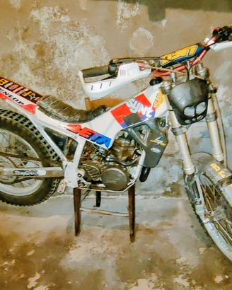 trial beta synt 260