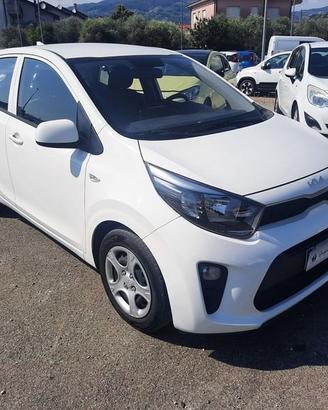 Kia Picanto 1.0 12V 5 porte Urban