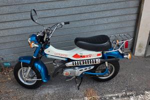 Suzuki RV50 