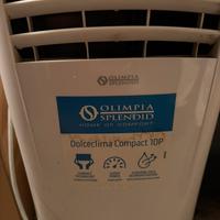 Condizionatore portatile /pinguino