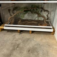 Rettilario più mini congelatore