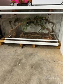 Rettilario più mini congelatore