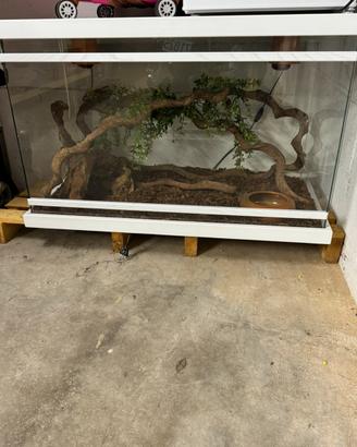 Rettilario più mini congelatore