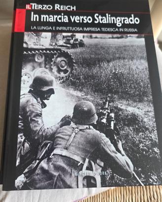 In marcia verso Stalingrado