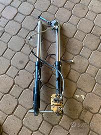 Forcelle complete + freno malaguti drakon