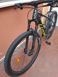Scott M 29 