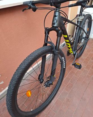 Scott M 29 
