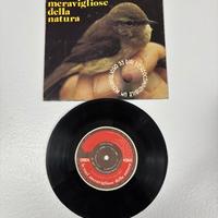 Walter Bonatti – Le voci meravigliose della natura