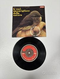 Walter Bonatti – Le voci meravigliose della natura