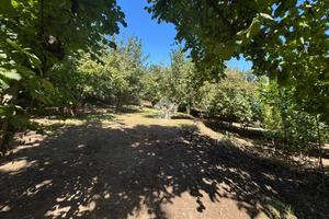 TER. AGRICOLO A SAN MARTINO VALLE CAUDINA