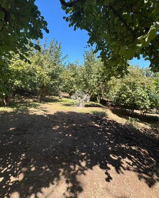 TER. AGRICOLO A SAN MARTINO VALLE CAUDINA