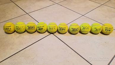 10 Palle da Tennis per Cani o Altro