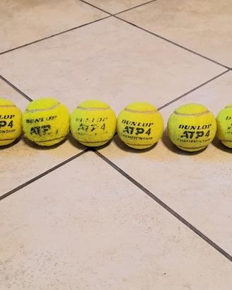 10 Palle da Tennis per Cani o Altro