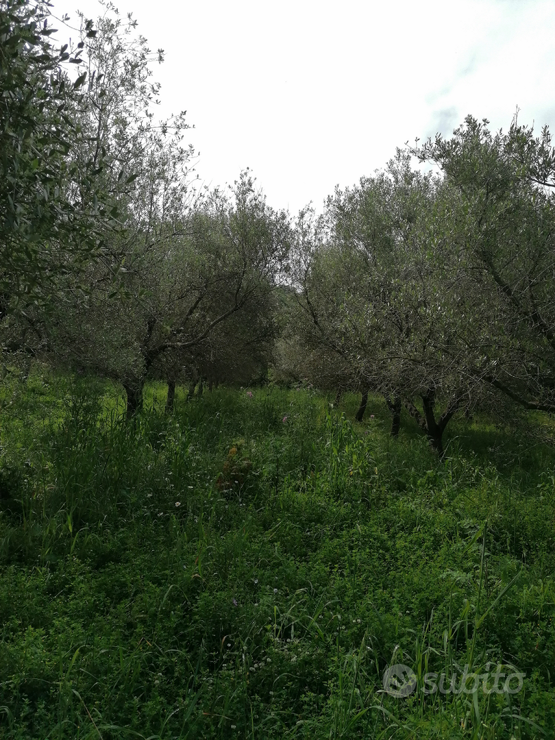 Terreno con rustico - Vista 3